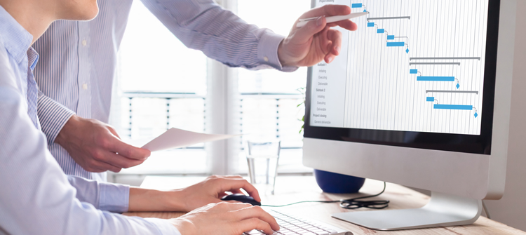 Security Project Management Consultant UK